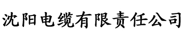 狠狠精品干练久久久无码中文字幕电缆厂logo